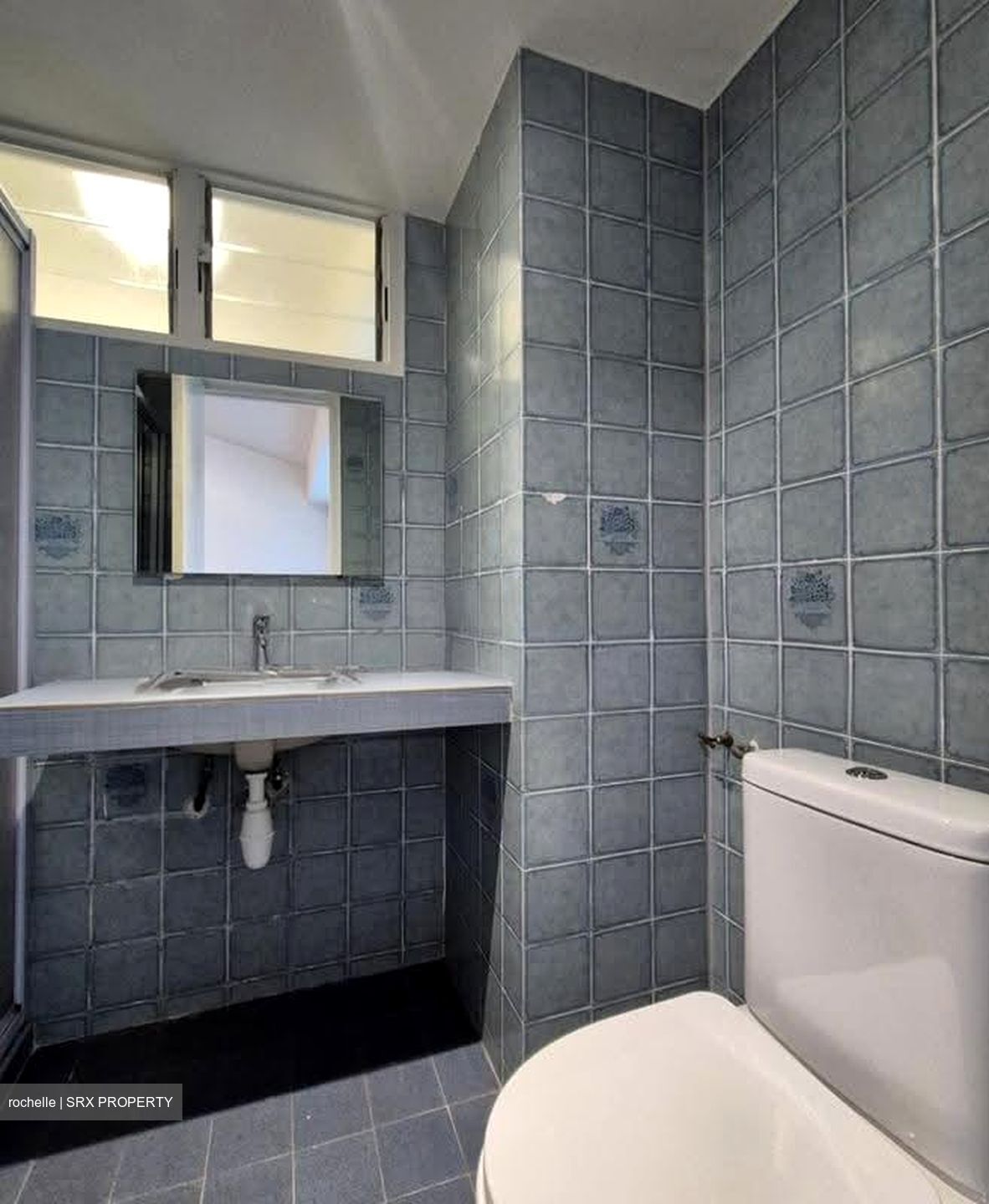 Dunearn Road (D11), Condominium #632914381